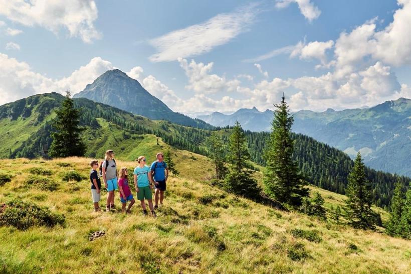 Hotel Alpina Клайнарл Екстериор снимка