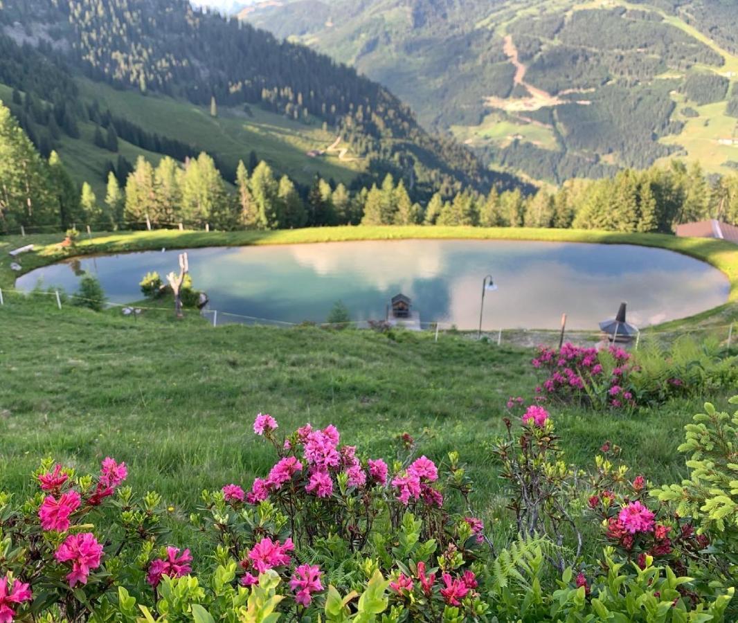 Hotel Alpina Клайнарл Екстериор снимка